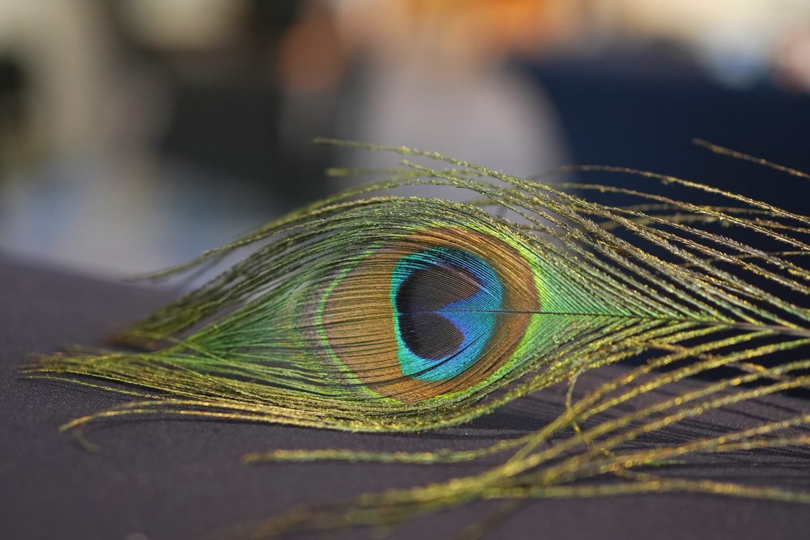 Chakravyuh — Breakthrough Da Vinci workshop — Kurukshetra Workshops